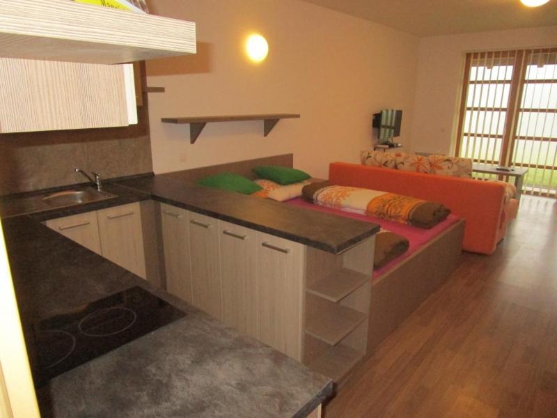 Apartman Ricky V Orlickych Horach Pustiny Экстерьер фото