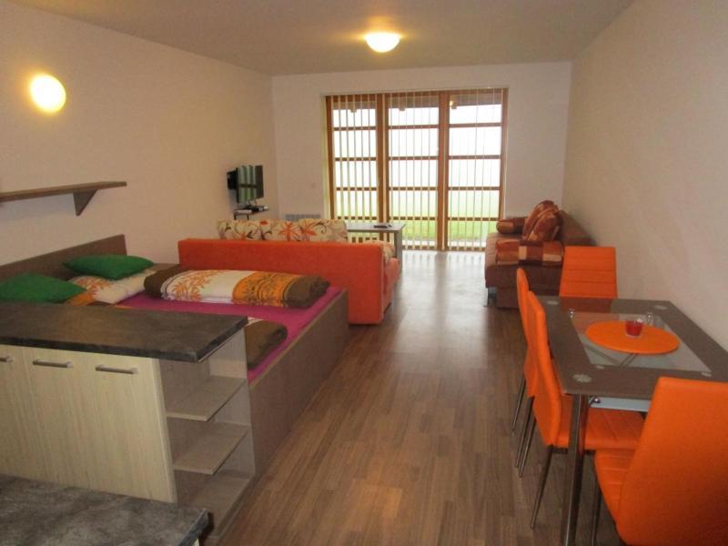 Apartman Ricky V Orlickych Horach Pustiny Экстерьер фото